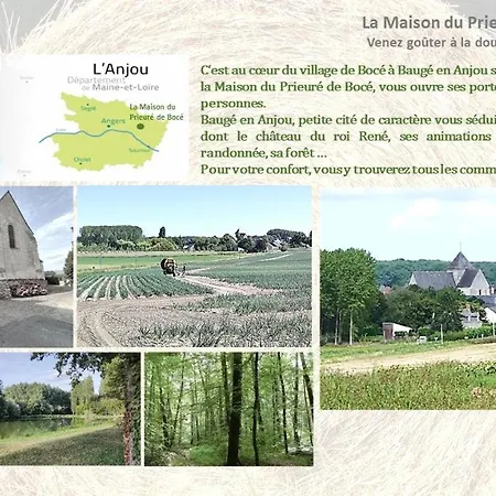 La Maison Du Prieure De Boce Semesterbostad *