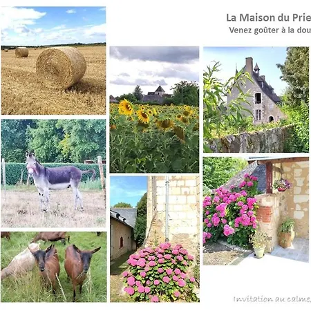 La Maison Du Prieure De Boce 펜션 Bauge-en-Anjou